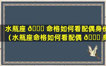 水瓶座 🍀 命格如何看配偶身份（水瓶座命格如何看配偶 🐈 身份信息）